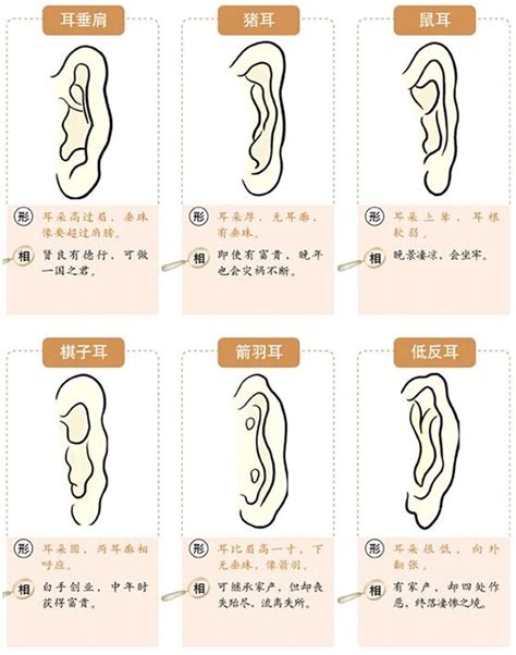 耳朵面向|面相耳朵图解【最详细版】 – 杨易德全集官网